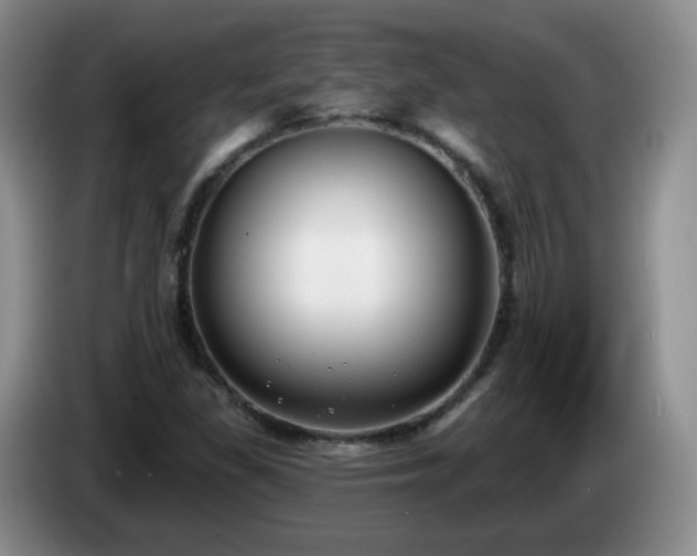 X0000085021309200703121534