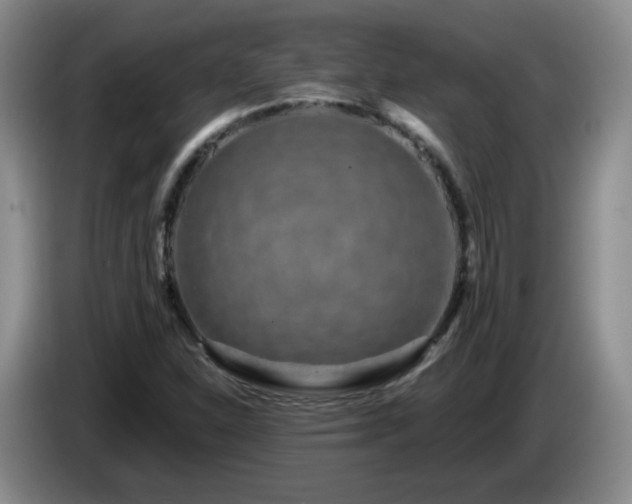 X0000085021310200703121534