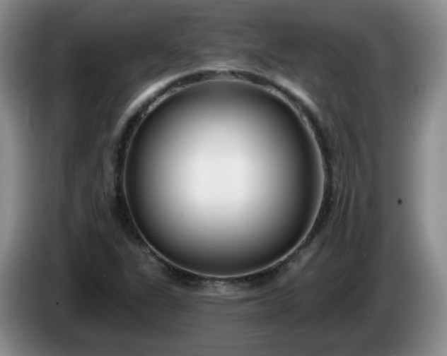 X0000085021311200703121534