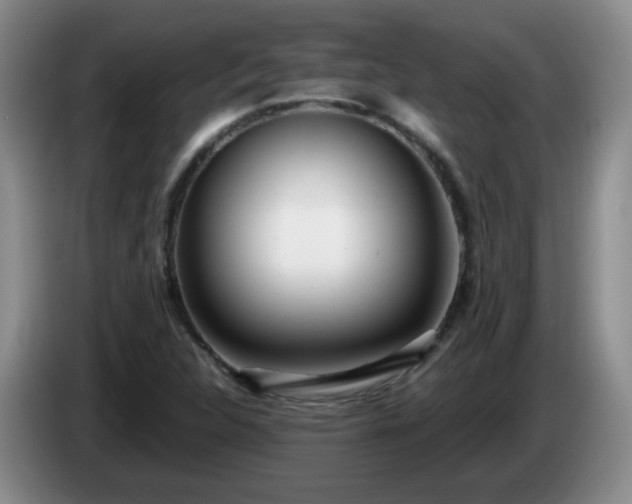 X0000085021312200703121534