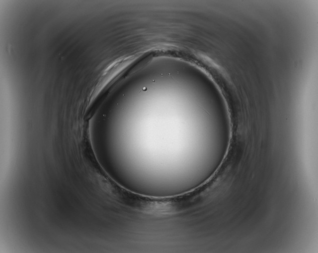 X0000085021313200703121534