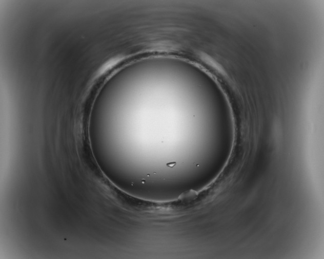 X0000085021315200703121534
