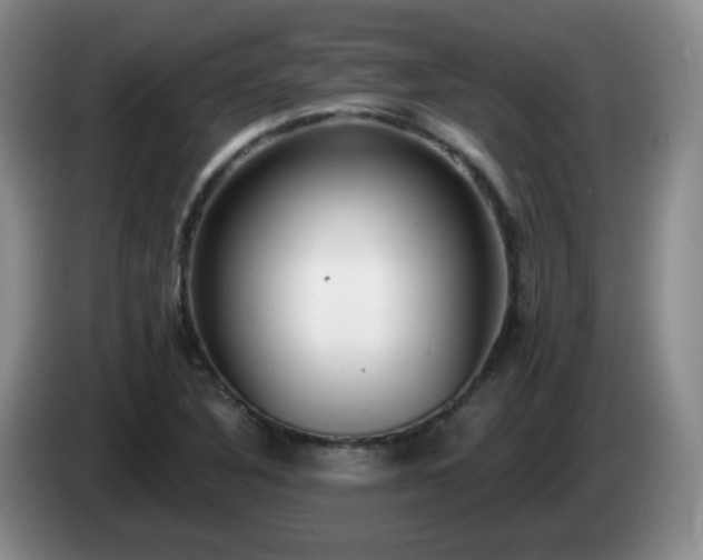 X0000085021316200703121534