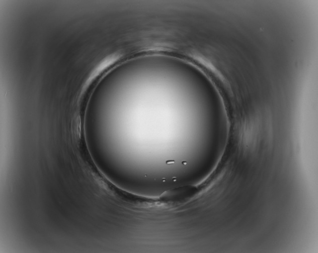 X0000085021317200703121534