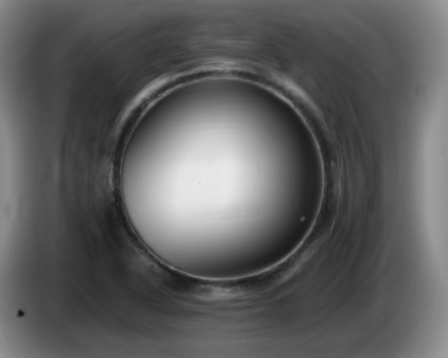 X0000085021318200703121534