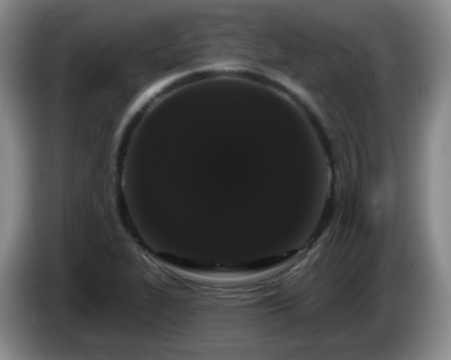 X0000085021319200703121534