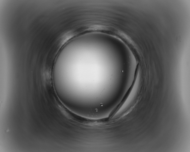 X0000085021321200703121534