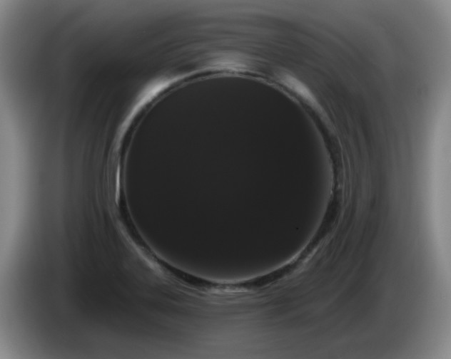 X0000085021323200703121534