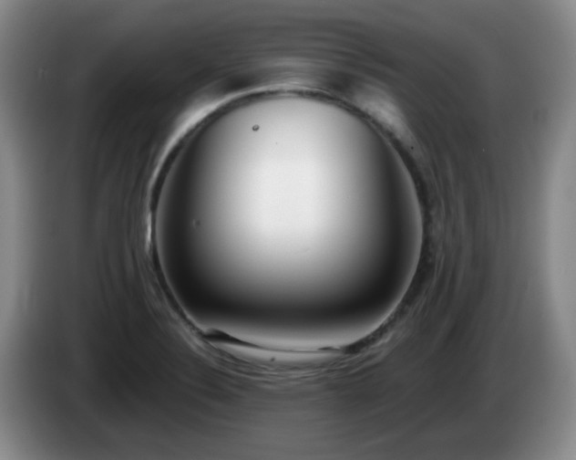 X0000085021324200703121534