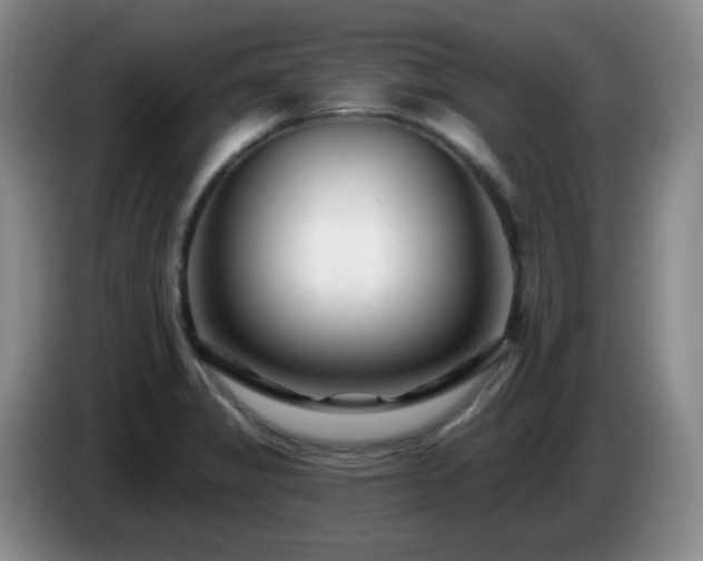 X0000085021325200703121534