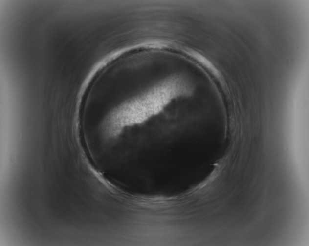 X0000085021327200703121534