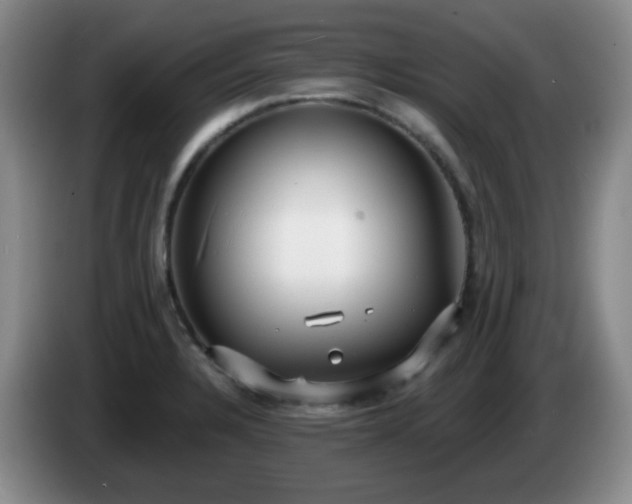 X0000085021328200703121534