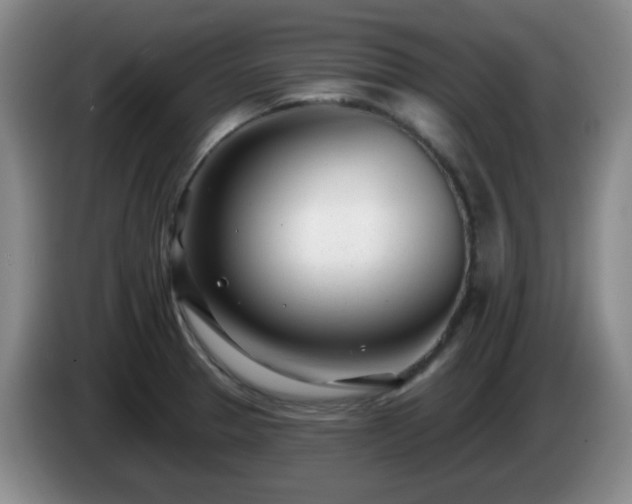 X0000085021329200703121534