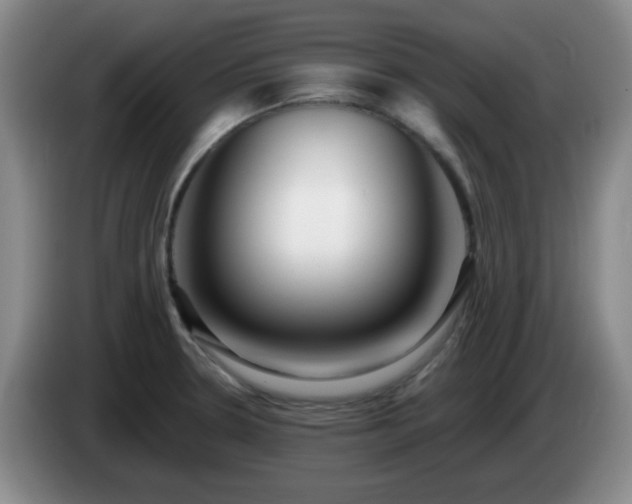 X0000085021330200703121534