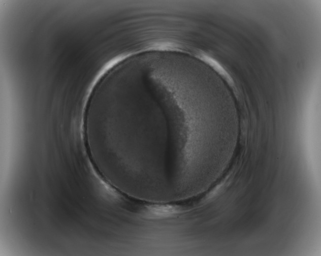 X0000085021331200703121534