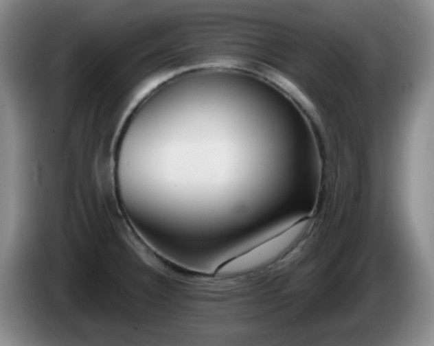 X0000085021332200703121534