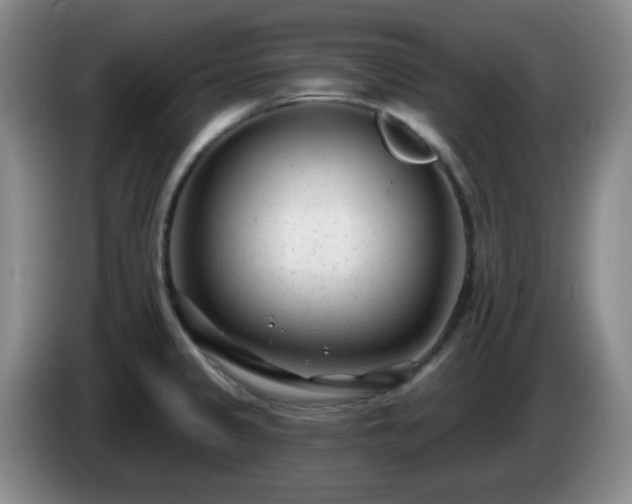 X0000085021333200703121534