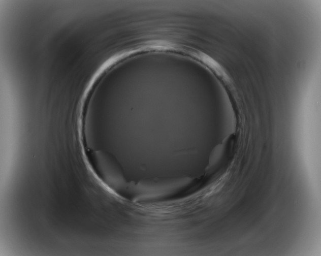 X0000085021334200703121534