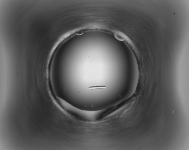 X0000085021335200703121534