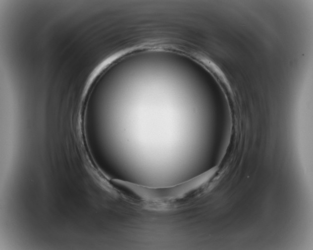 X0000085021336200703121534