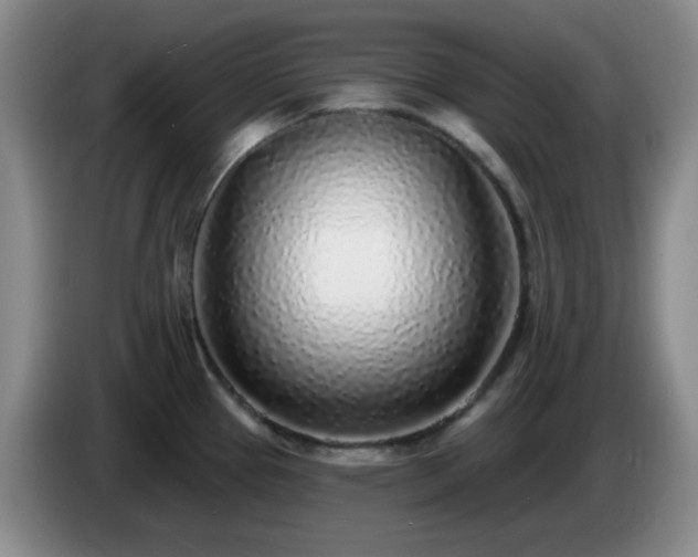 X0000085021337200703121534
