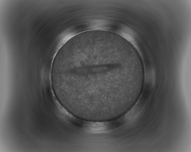 X0000085021338200703121534