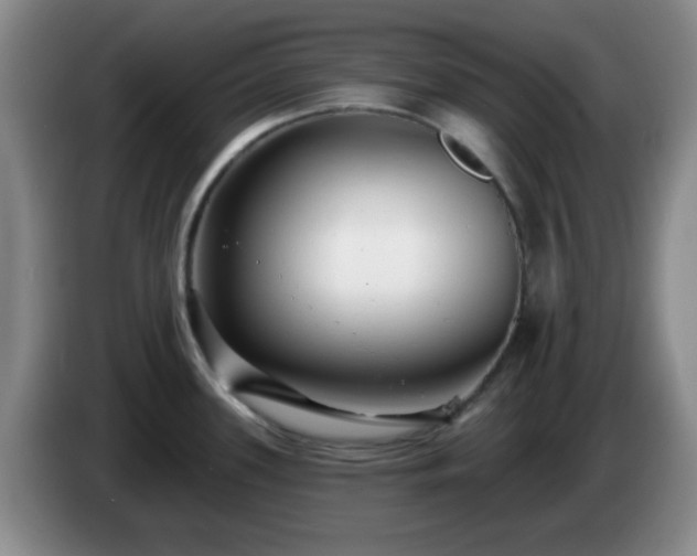 X0000085021339200703121534