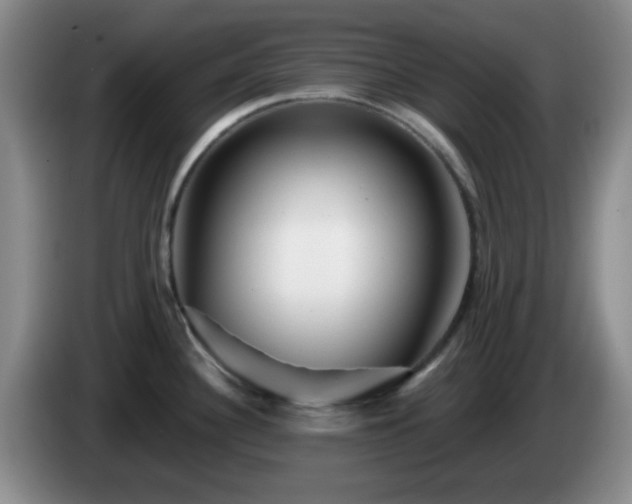 X0000085021340200703121534