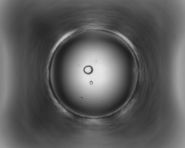 X0000085021341200703121534