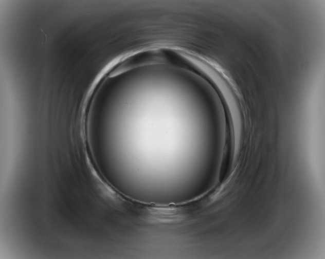 X0000085021342200703121534