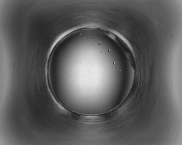 X0000085021343200703121534