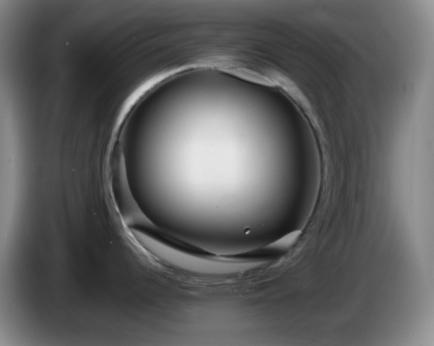 X0000085021344200703121534