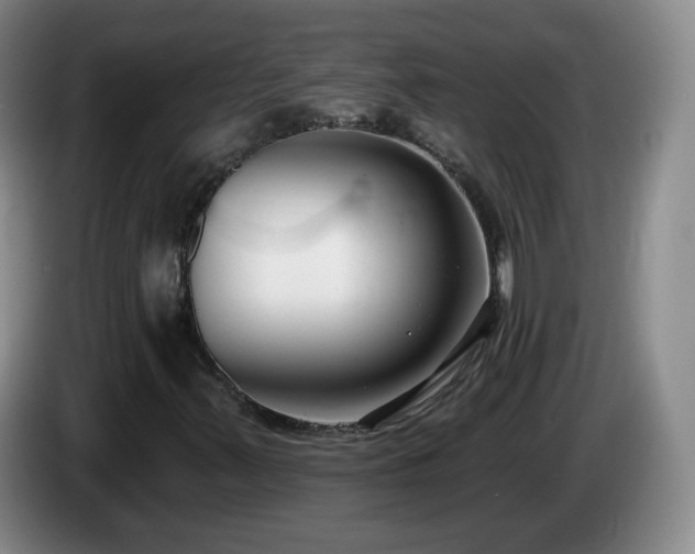 X0000085021347200703121534