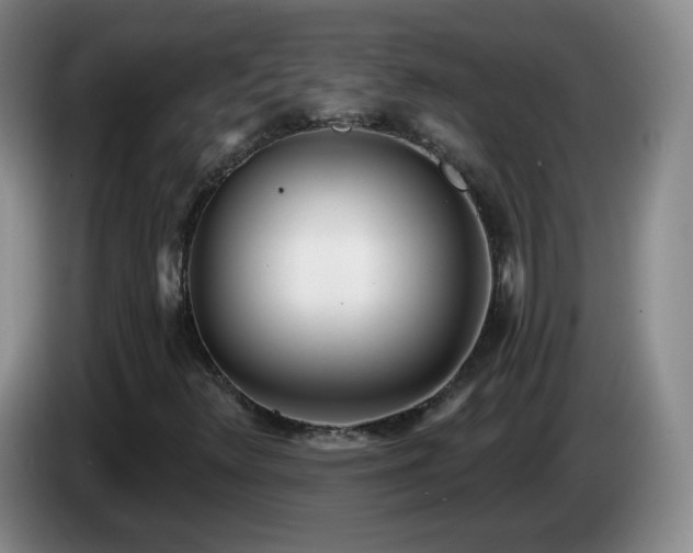 X0000085021348200703121534