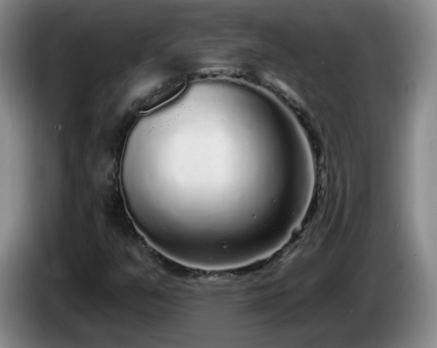 X0000085021351200703121534