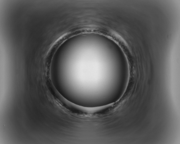 X0000085021352200703121534