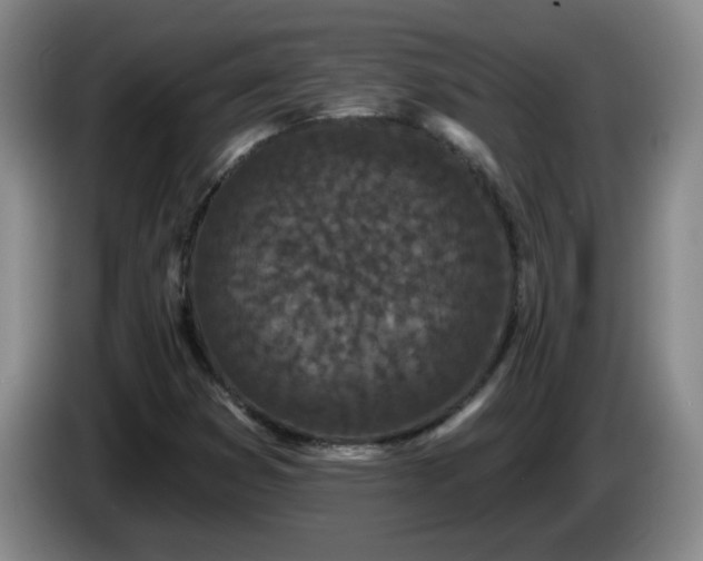 X0000085021353200703121534