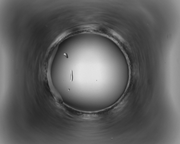 X0000085021354200703121534