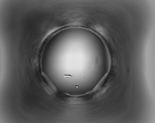 X0000085021356200703121534