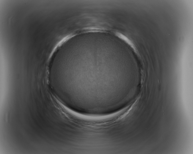 X0000085021357200703121534