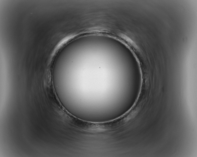 X0000085021358200703121534