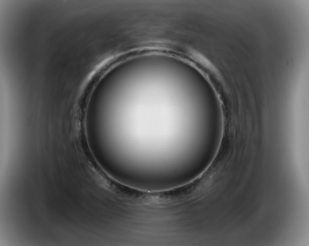 X0000085021360200703121534