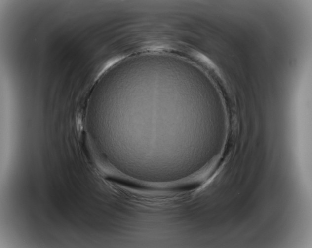 X0000085021361200703121534