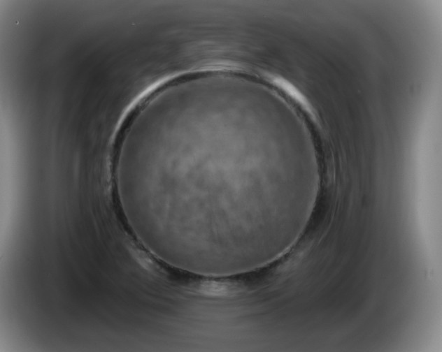 X0000085021364200703121534
