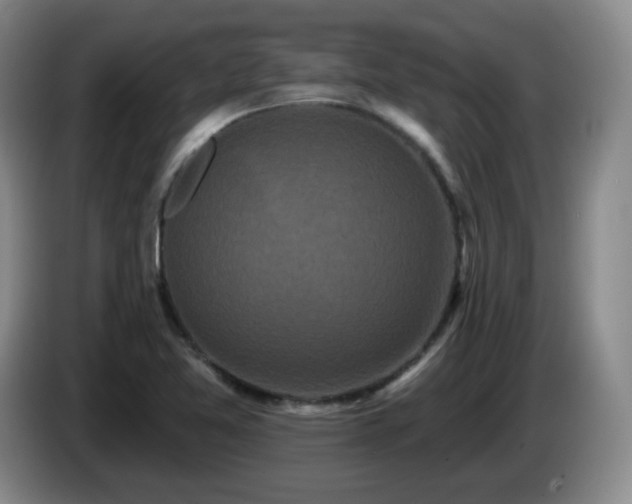 X0000085021365200703121534