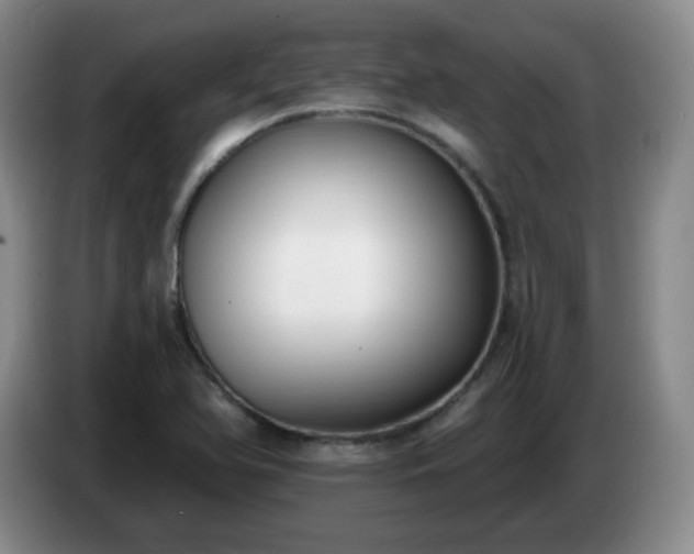 X0000085021366200703121534