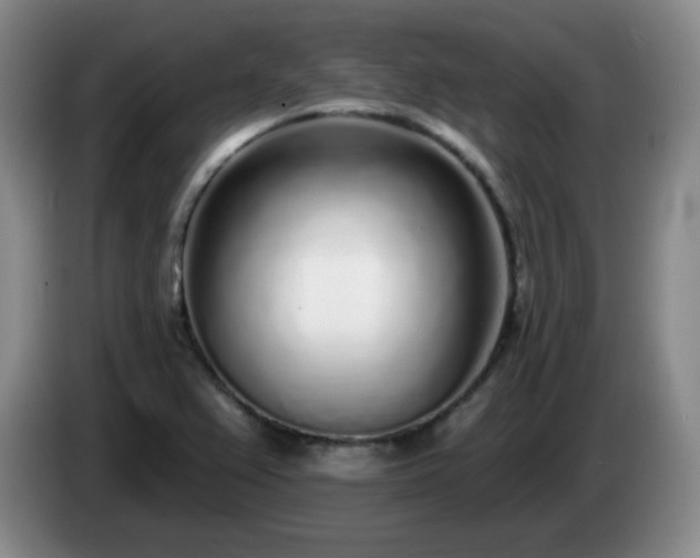 X0000085021367200703121534