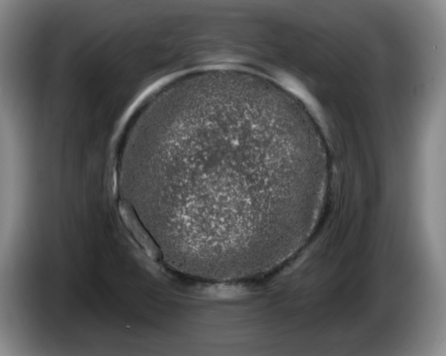X0000085021368200703121534