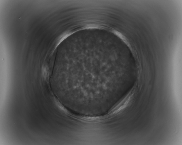 X0000085021369200703121534