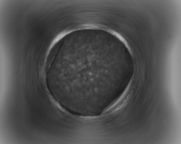 X0000085021373200703121533